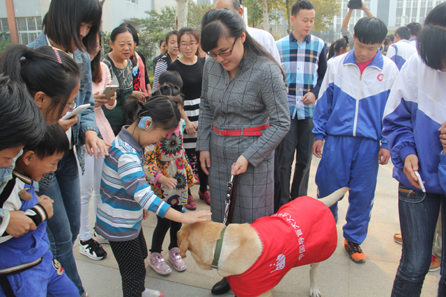 淄博市慶祝第32個“國際盲人節(jié)”座談會在我校召開