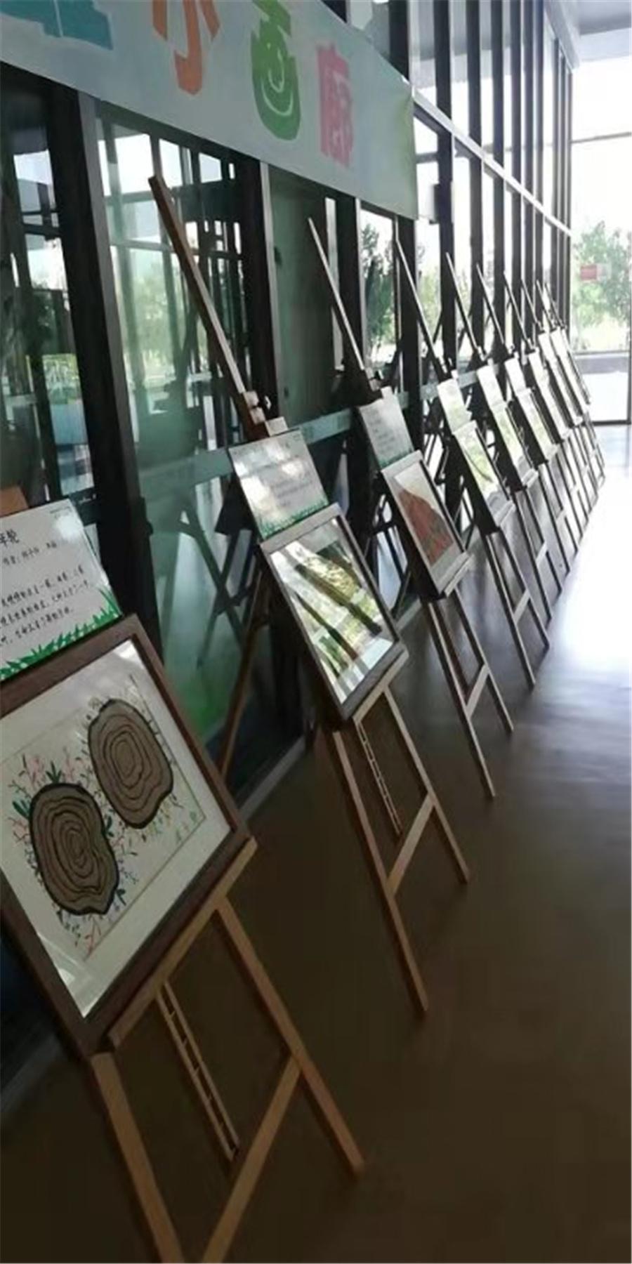 揮灑色彩 展示風(fēng)采